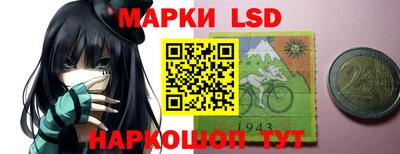 прущие грибы Усть-Илимск