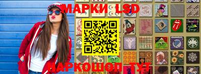 прущие грибы Усть-Илимск