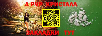 прущие грибы Усть-Илимск