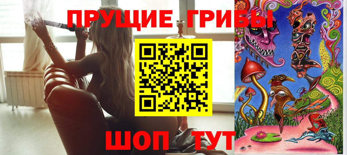 Галлюциногенные грибы Psilocybe Новодвинск