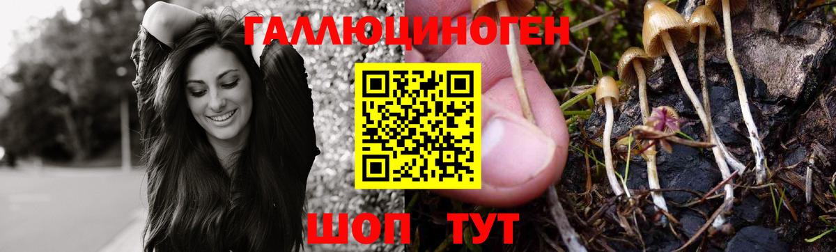 Псилоцибиновые грибы ЛСД  Вход с VPN  Новодвинск 